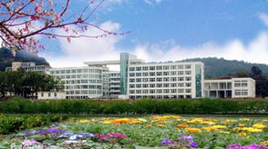 新华网福建频道