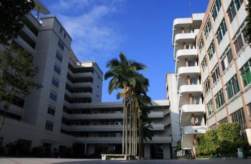 广州有哪些高职大学 多少分可以报广州高职高考学校