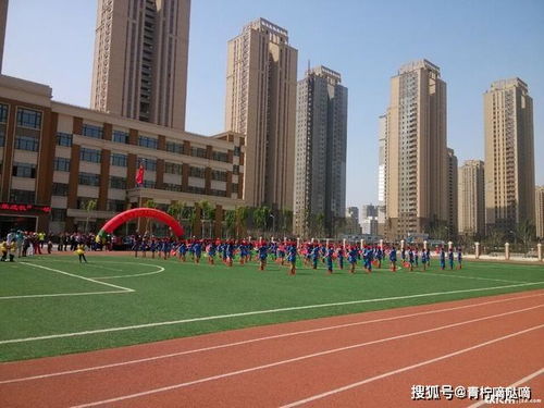 沈阳教育集团及分校大盘点 你最中意的是哪所