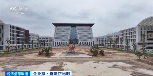 年近八十,投资百亿元建大学 图什么 曹德旺回应