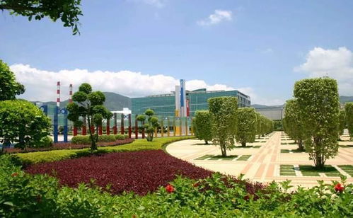 福建学子福音 百亿投资建科技大学，福建师范大学福清分校迎新篇章