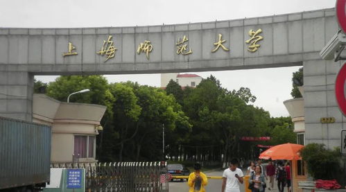 2020年新增专业名单 美术类专业扩展，助力本科教育多元化