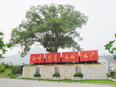 福建师范大学福清分校 绿意盎然的校园风光