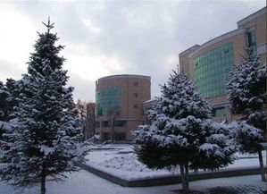 雪落冰城覆学府，回眸已是他乡人——记雪后师大福清分校的别样风致